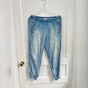 Cloth and Stone Chambray Blue Joggers